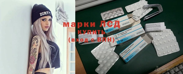 a pvp Каменногорск