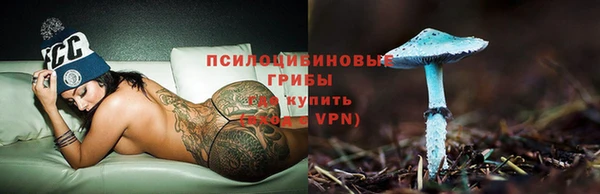a pvp Каменногорск