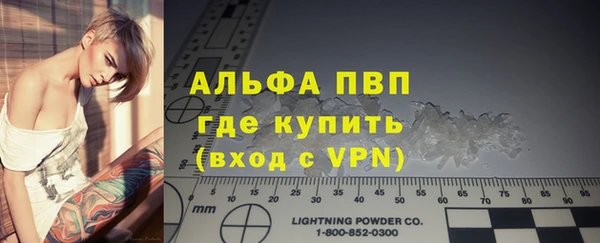 a pvp Каменногорск