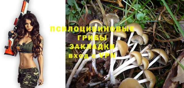 меф Каменка