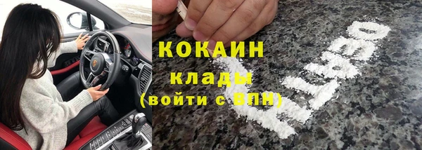 a pvp Каменногорск