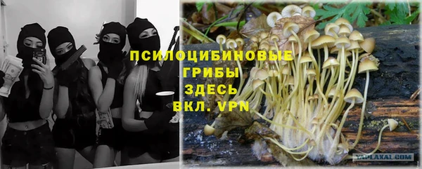spice Каменск-Шахтинский